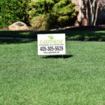 e-greenleaf takes pride in restoring lawns & shrubs back to full health and they won't stop until your lawn looks its best.