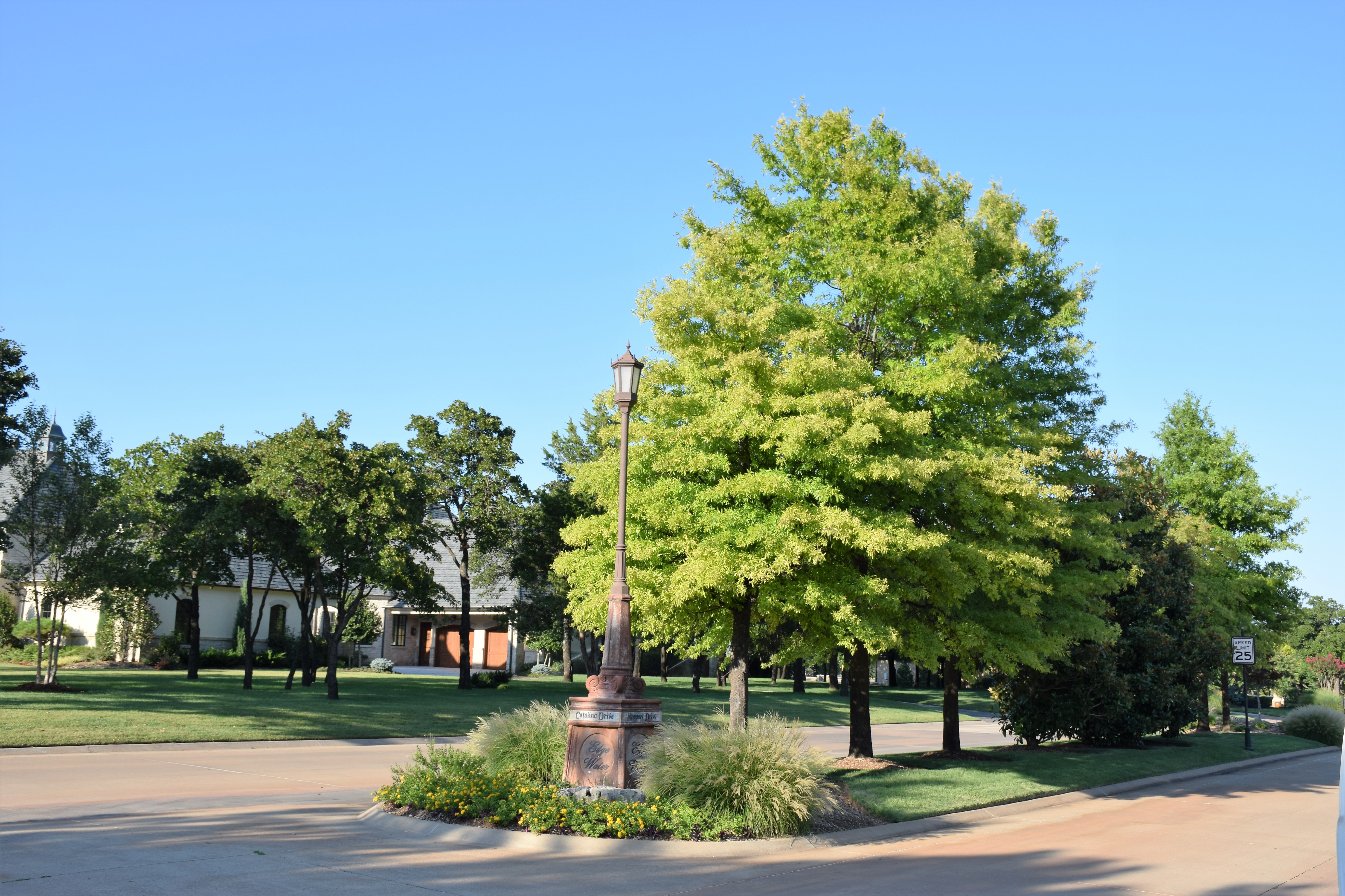 Tree & lawn care services from e-greenleaf is top ranked in OKC by all of their customers.