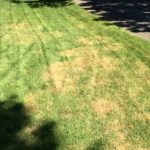 Removing brown patches from lawns is a big service that we provide at e-greenleaf lawn care serving OKC & Edmond.