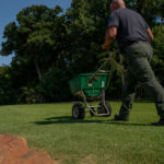 Overseeding lawns is necessary to help fill in the bare spots of your yard so that your luscious lawn is luscious everywhere.