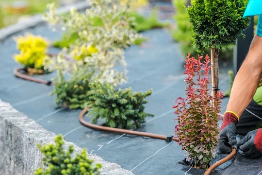 lawn services okc Our lawn services OKC team loves what they do, making our lawn care services stand out due to genuine care & attention to detail.